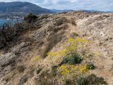 Урочище Алчак-Кая, image of landscape/habitat.