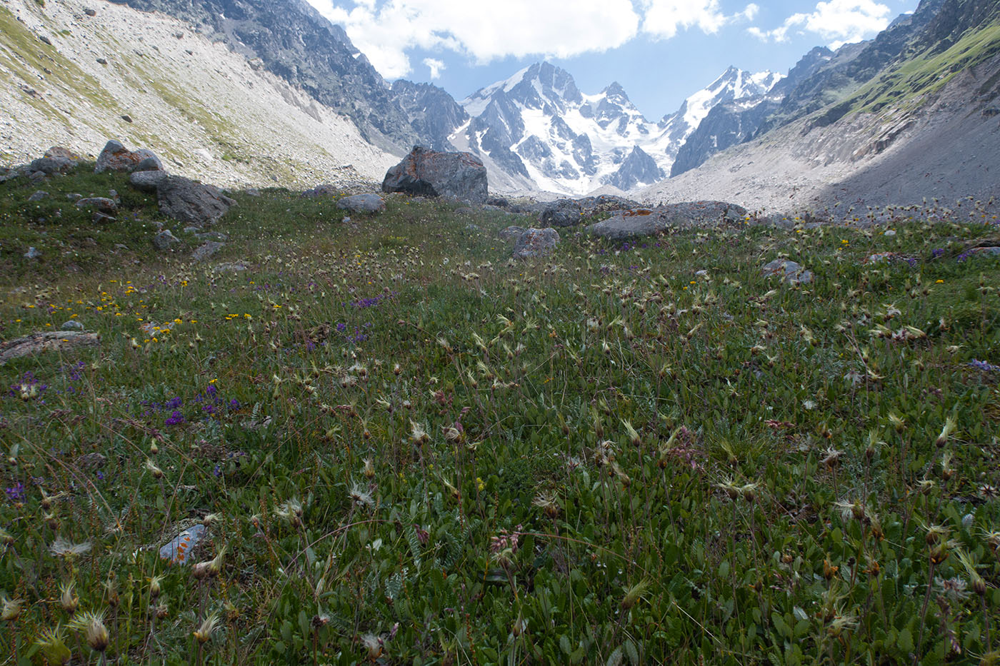 Ледник Псыгансу, image of landscape/habitat.