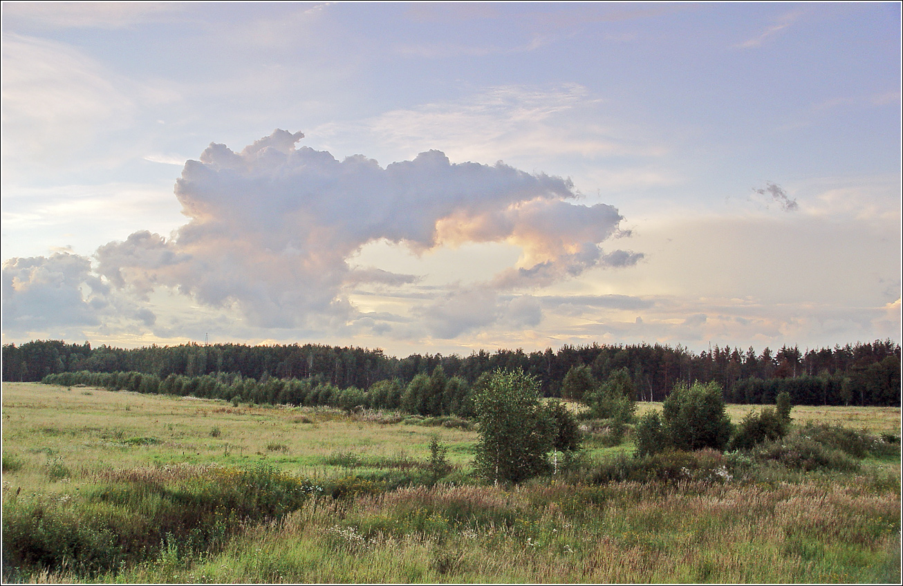 Окрестности Хрипани, image of landscape/habitat.