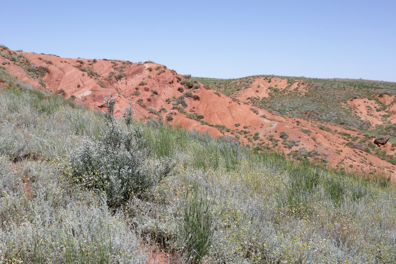 Гора Большое Богдо, image of landscape/habitat.