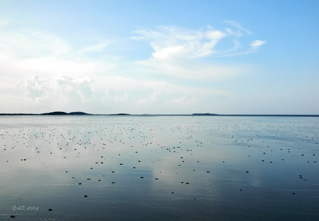 Унежма, image of landscape/habitat.