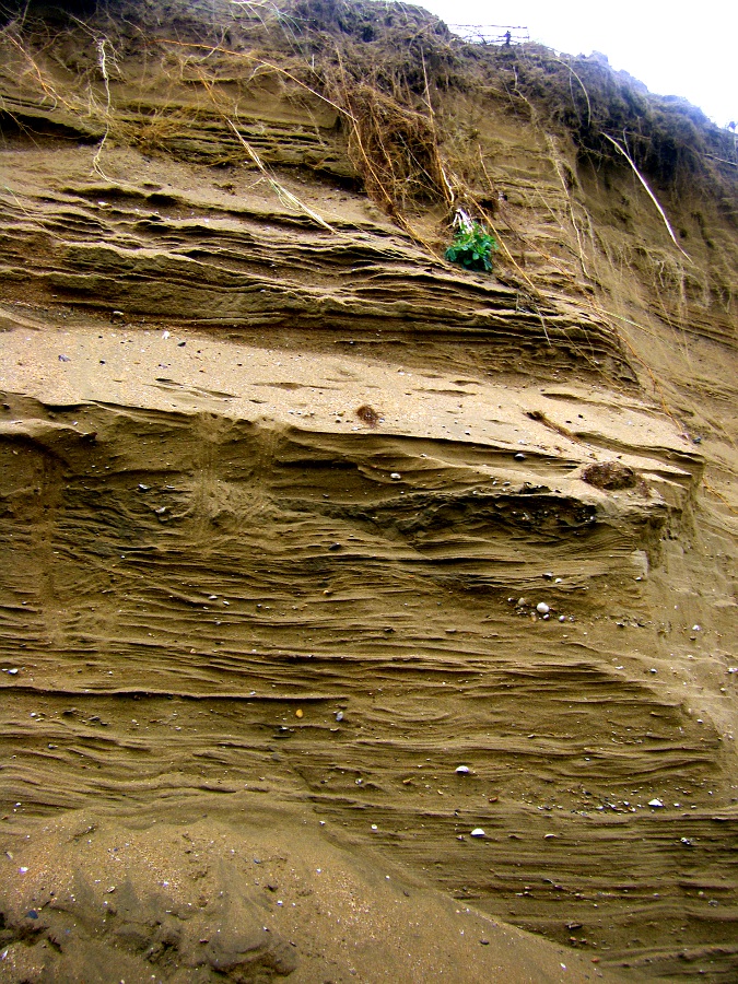 Урдайбай, image of landscape/habitat.