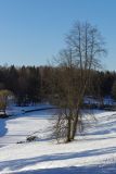 Павловск, image of landscape/habitat.