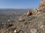 Image of landscape