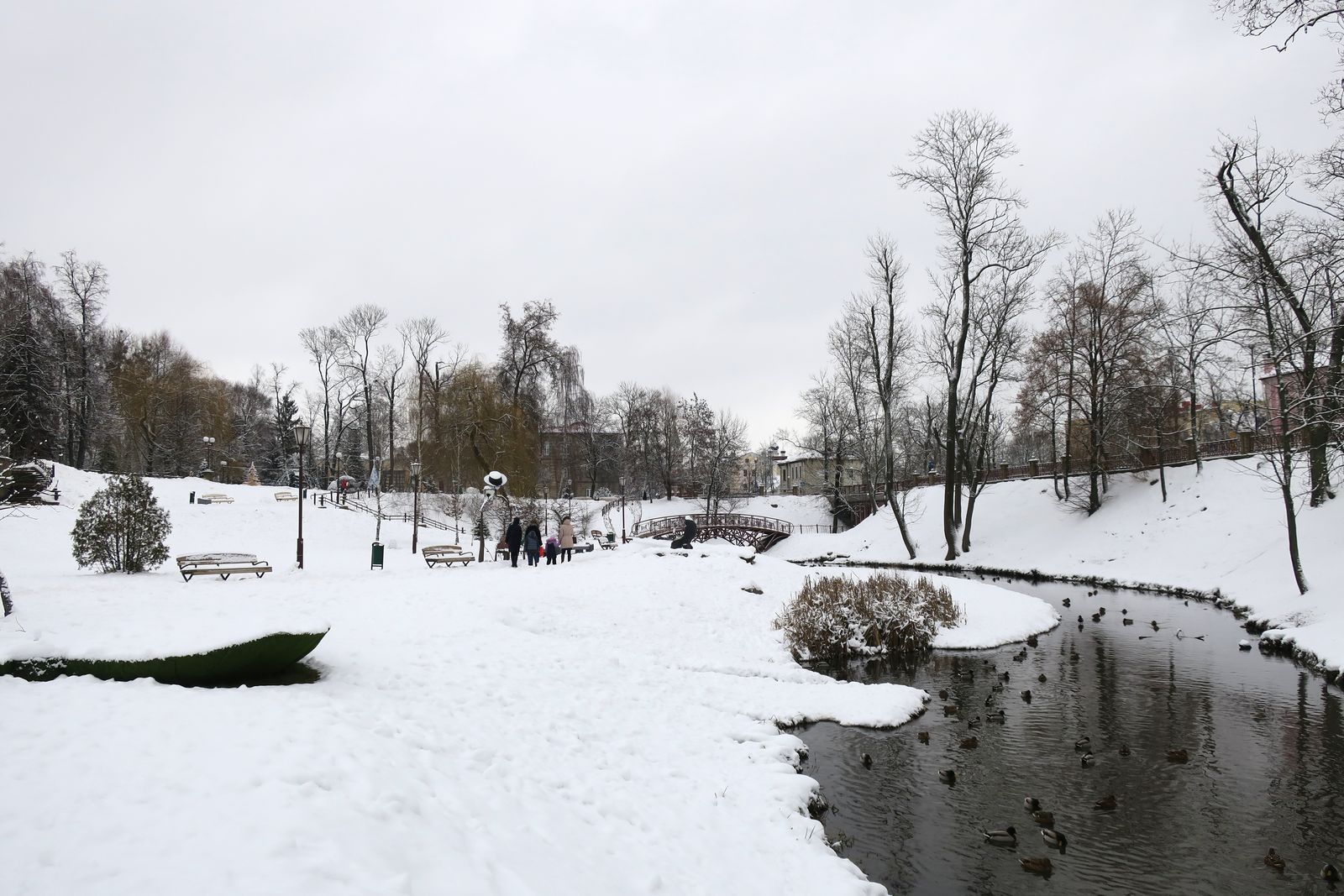 Парк Жилибера, изображение ландшафта.