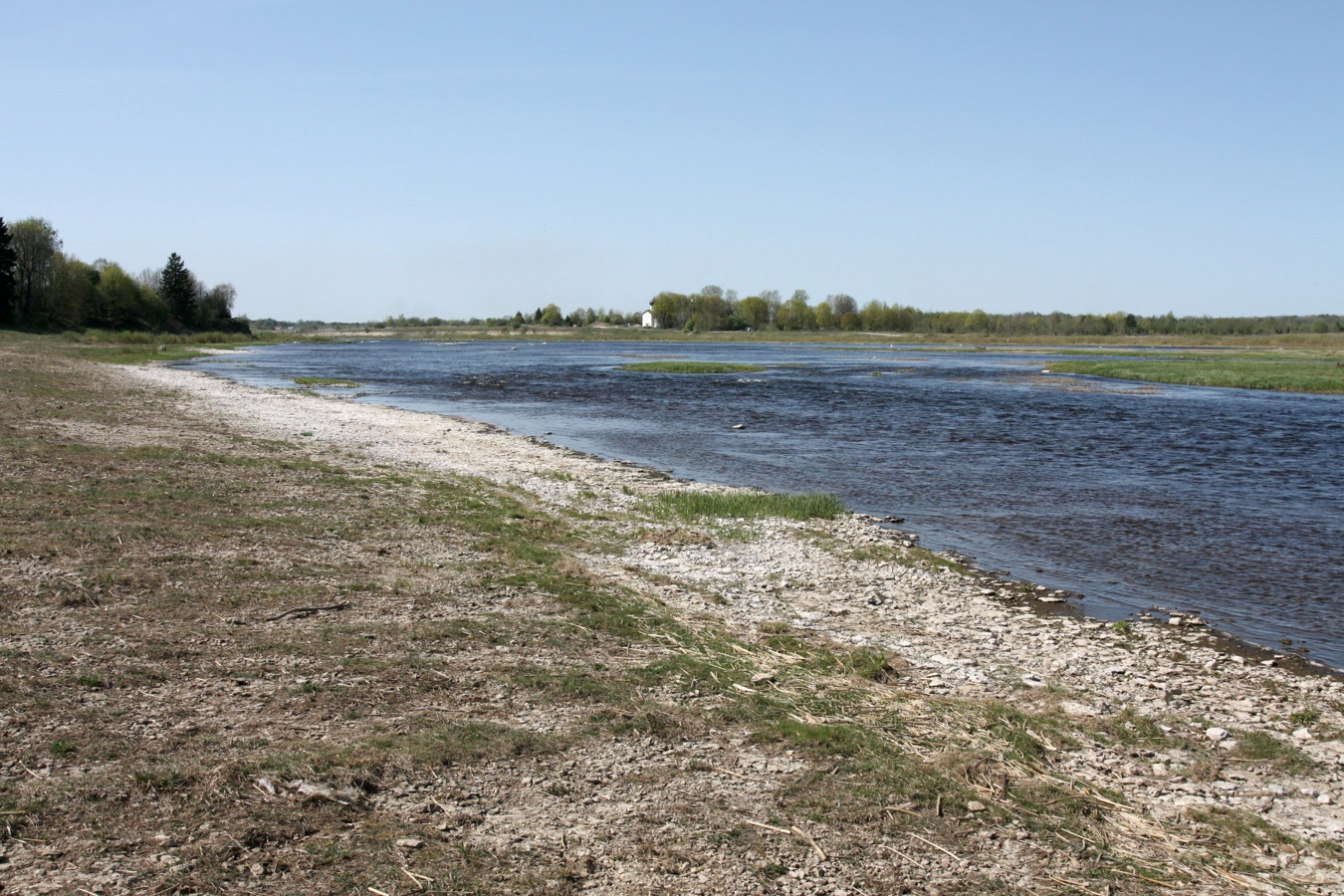 Выбуты, image of landscape/habitat.