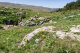 Image of landscape