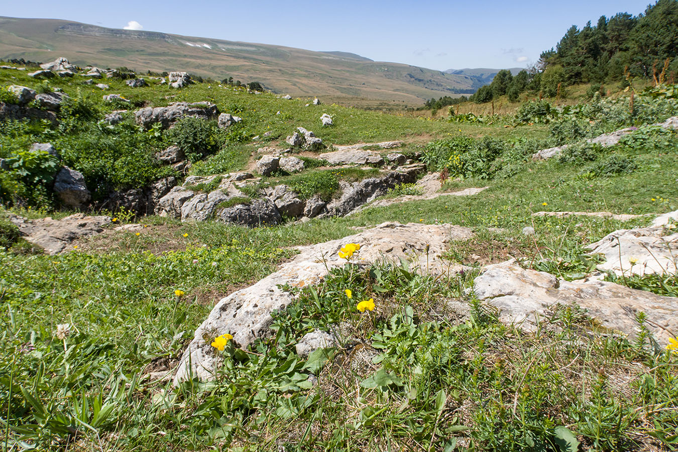Окрестности Азишского перевала, image of landscape/habitat.