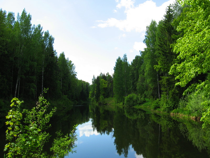 Павловск, изображение ландшафта.