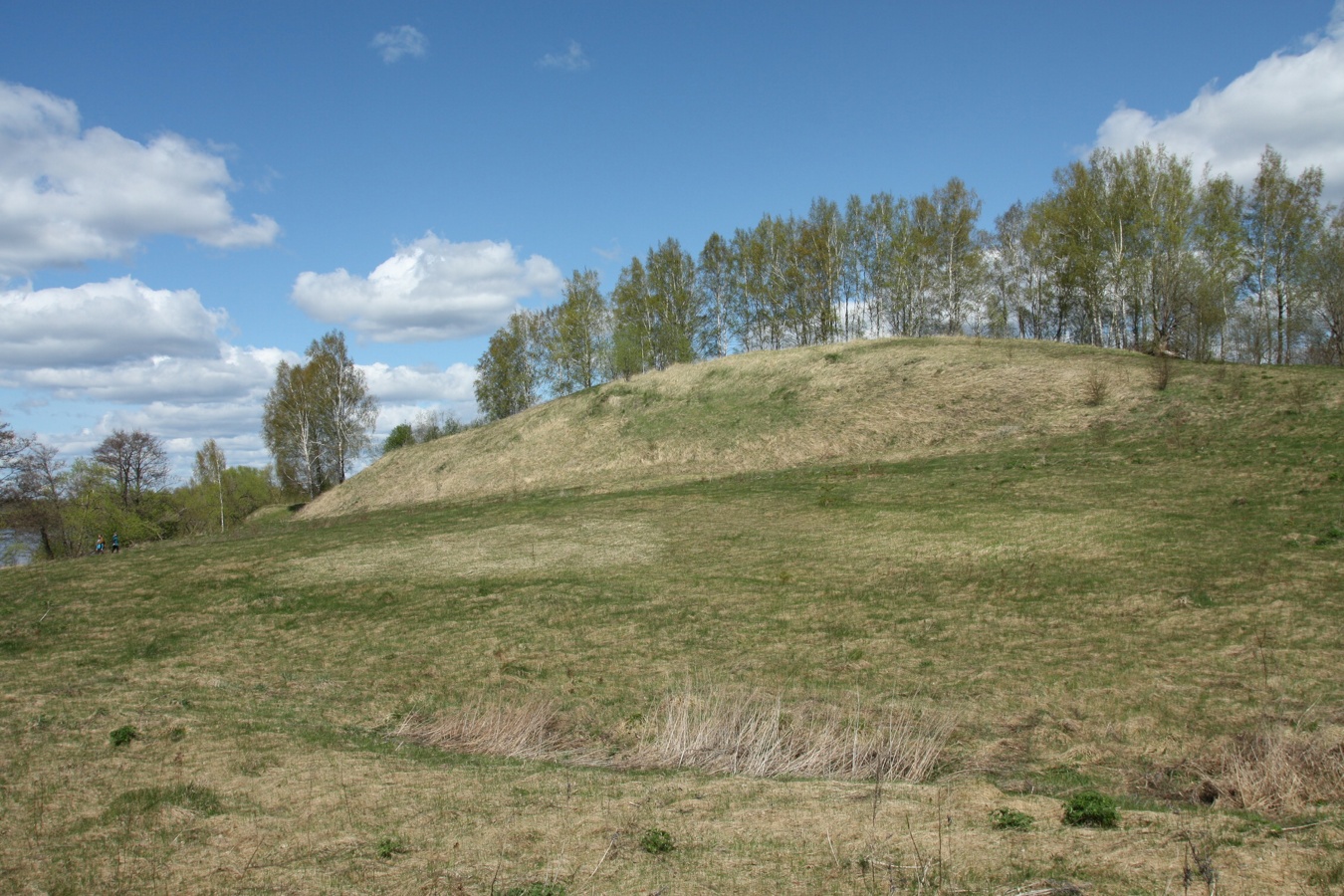 Шеляково и окрестности, image of landscape/habitat.