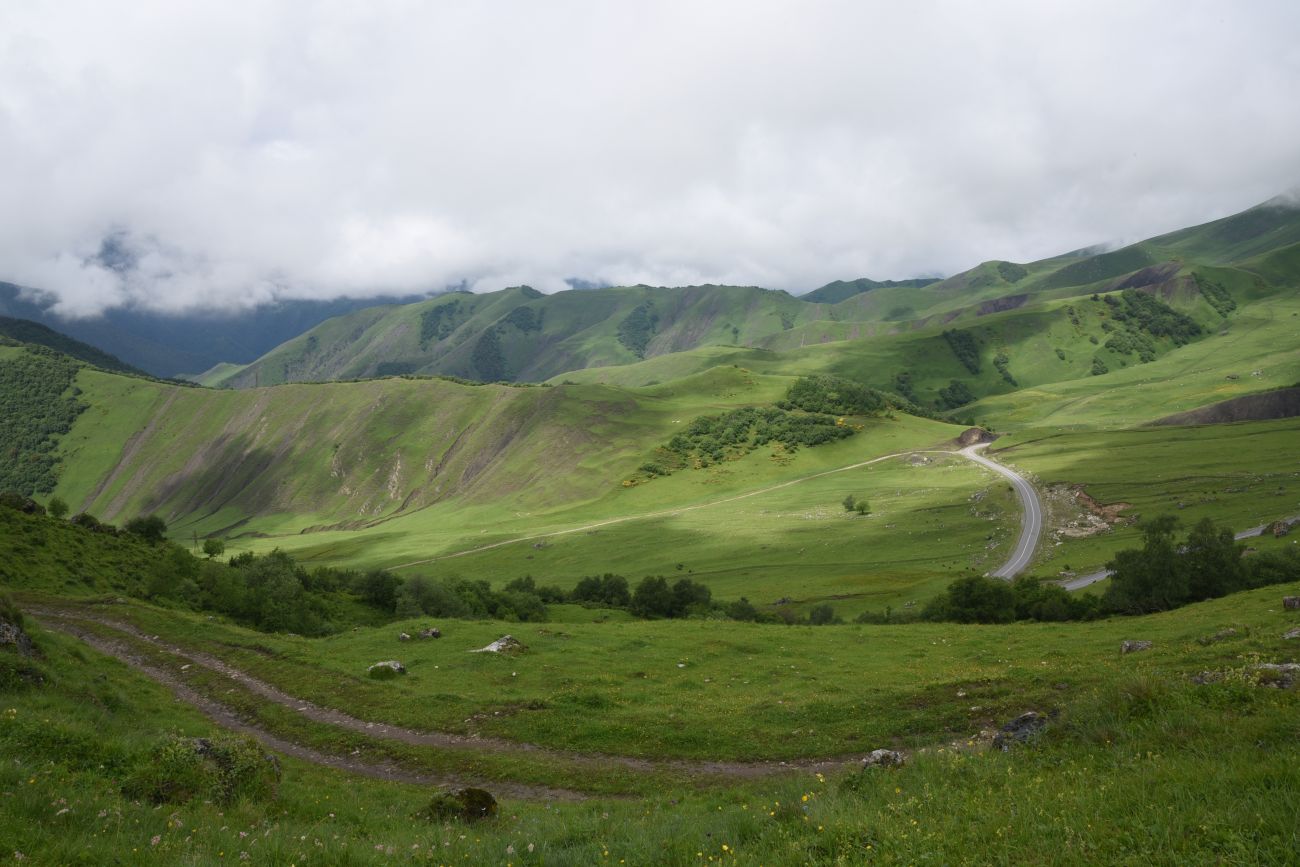Перевал Цей-Лоам, image of landscape/habitat.