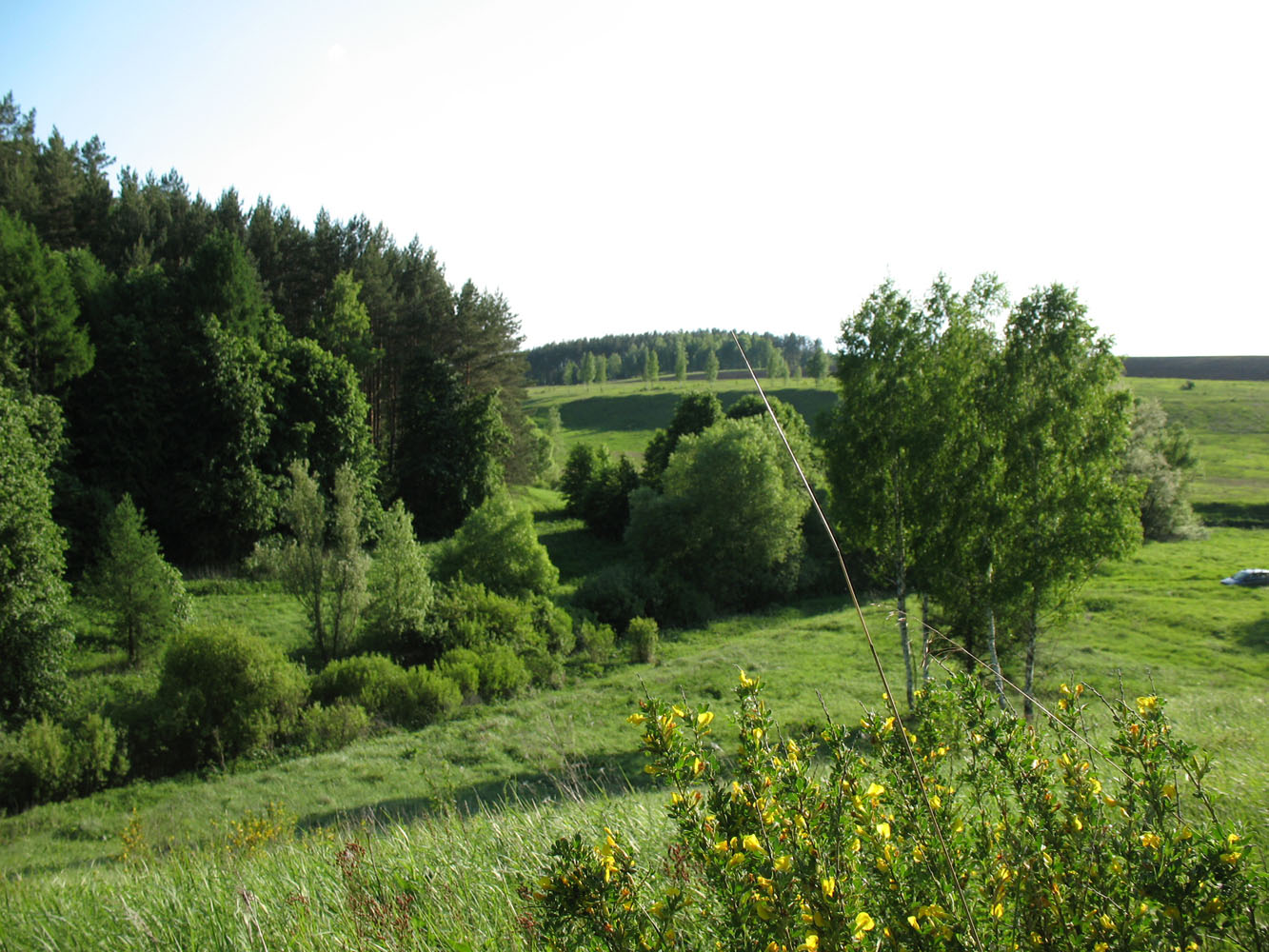 Полосня, image of landscape/habitat.