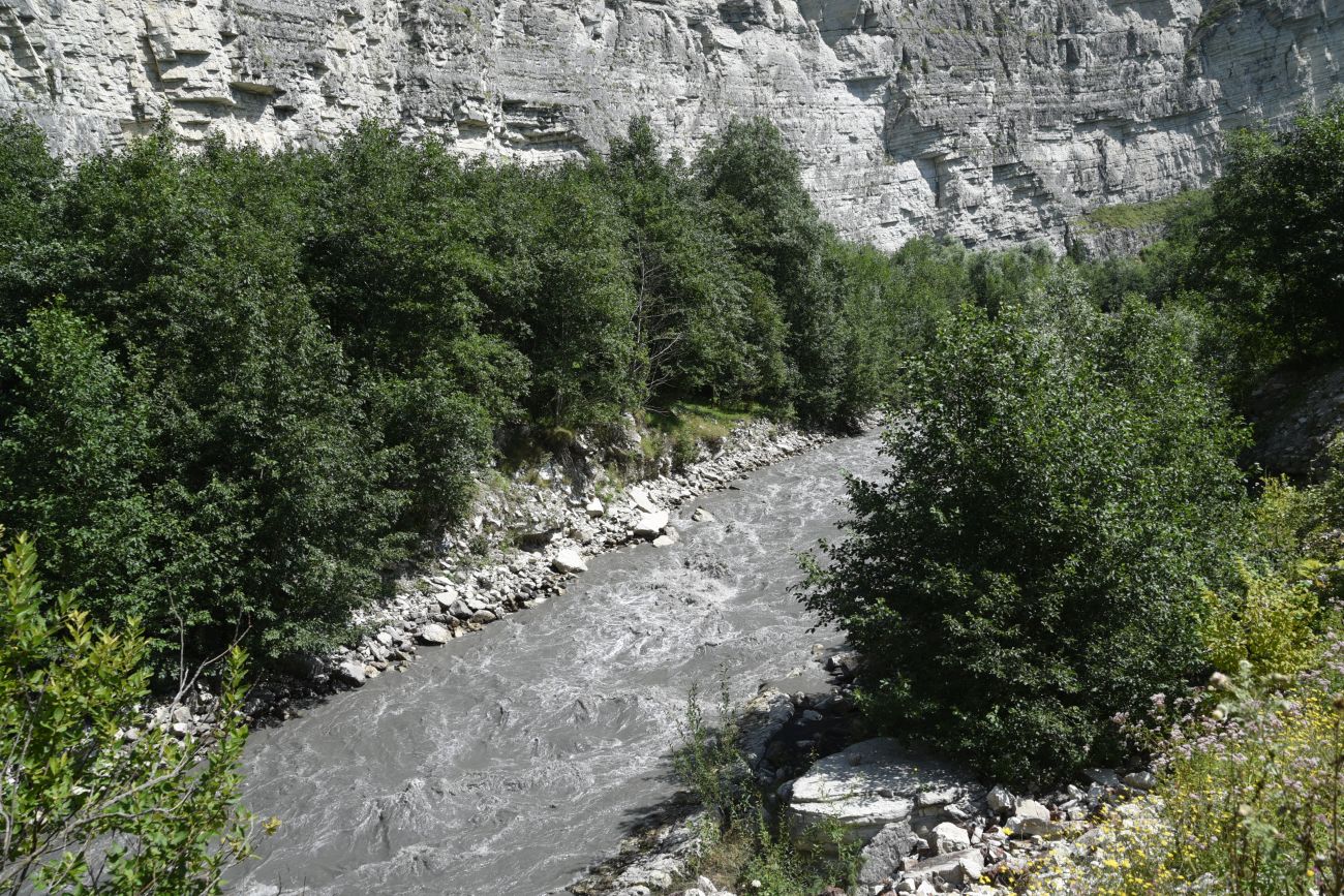 Окрестности села Дай, image of landscape/habitat.