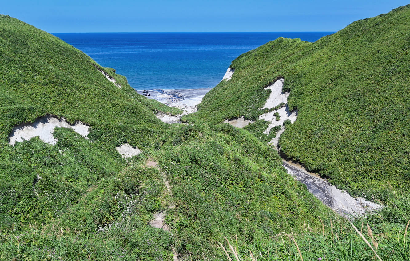 Белые скалы, image of landscape/habitat.