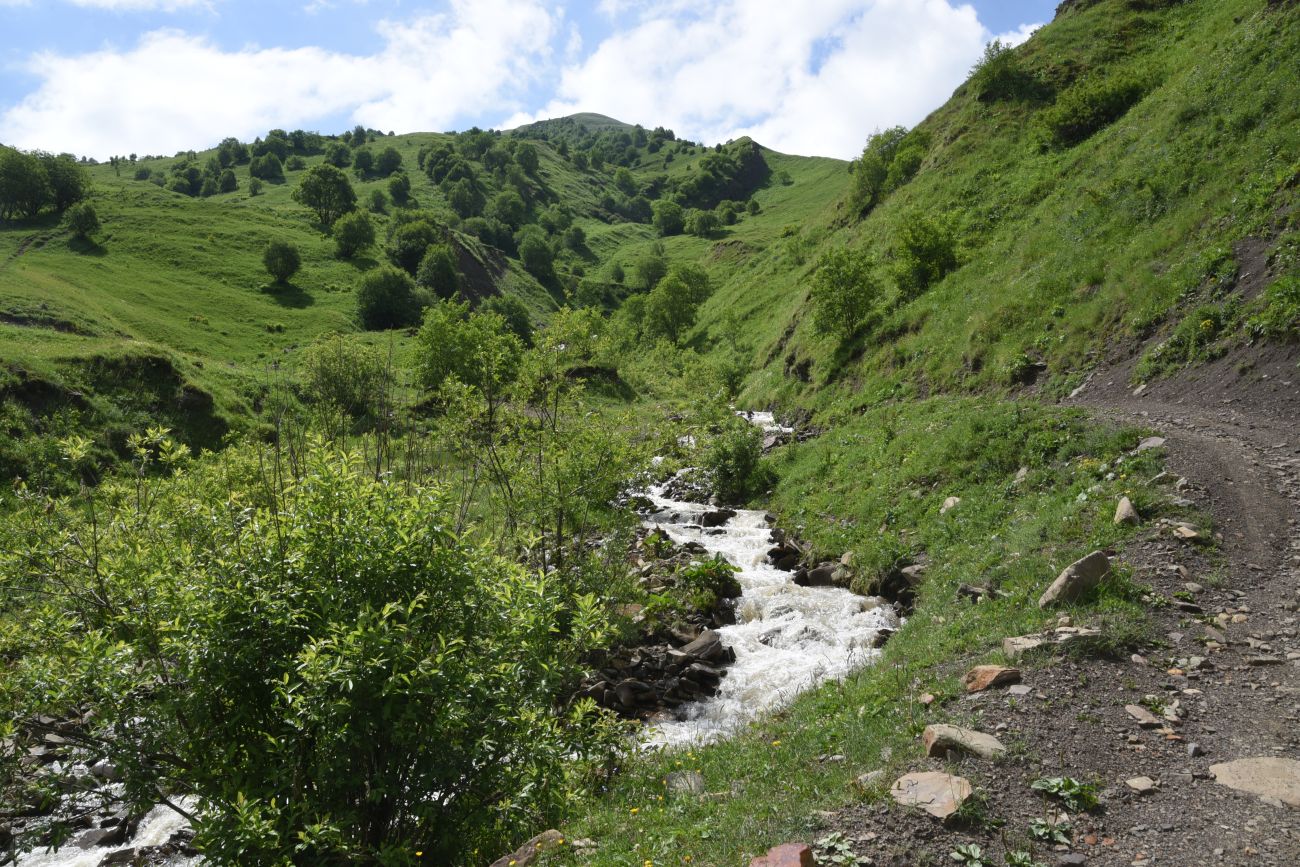 Урочище Хилиди, image of landscape/habitat.