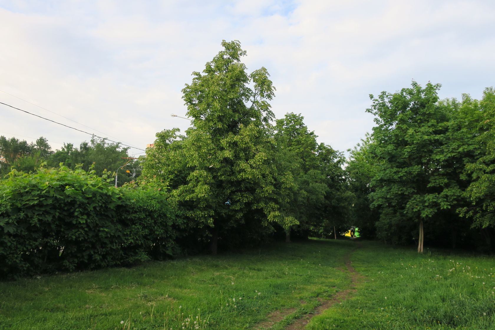 Перово (местность), image of landscape/habitat.