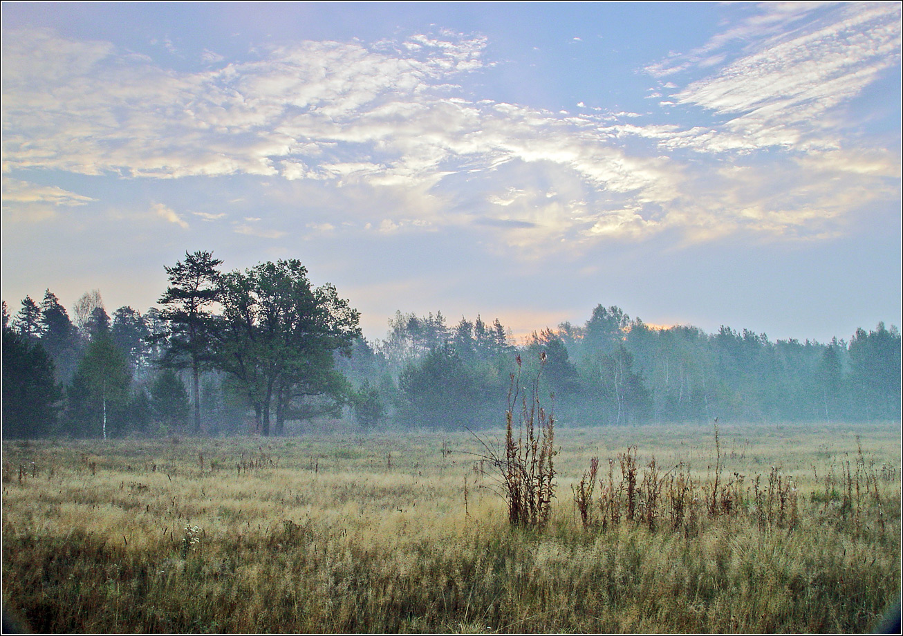 Окрестности Хрипани, image of landscape/habitat.
