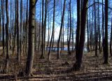 Новогрудок, image of landscape/habitat.