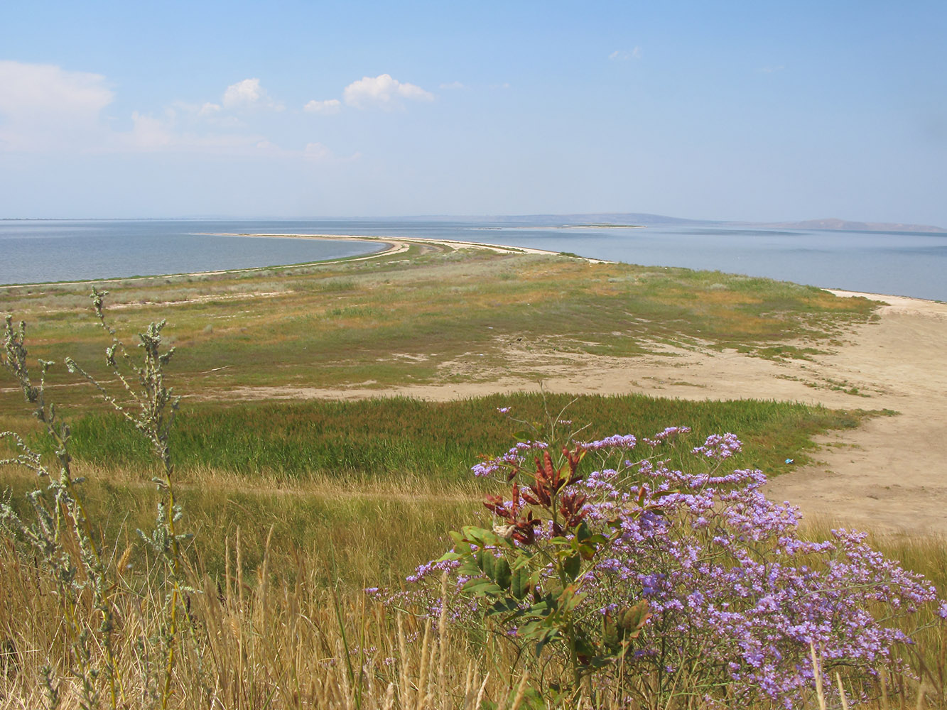 Коса Голенькая, image of landscape/habitat.