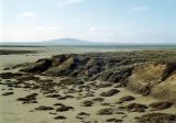 Image of landscape