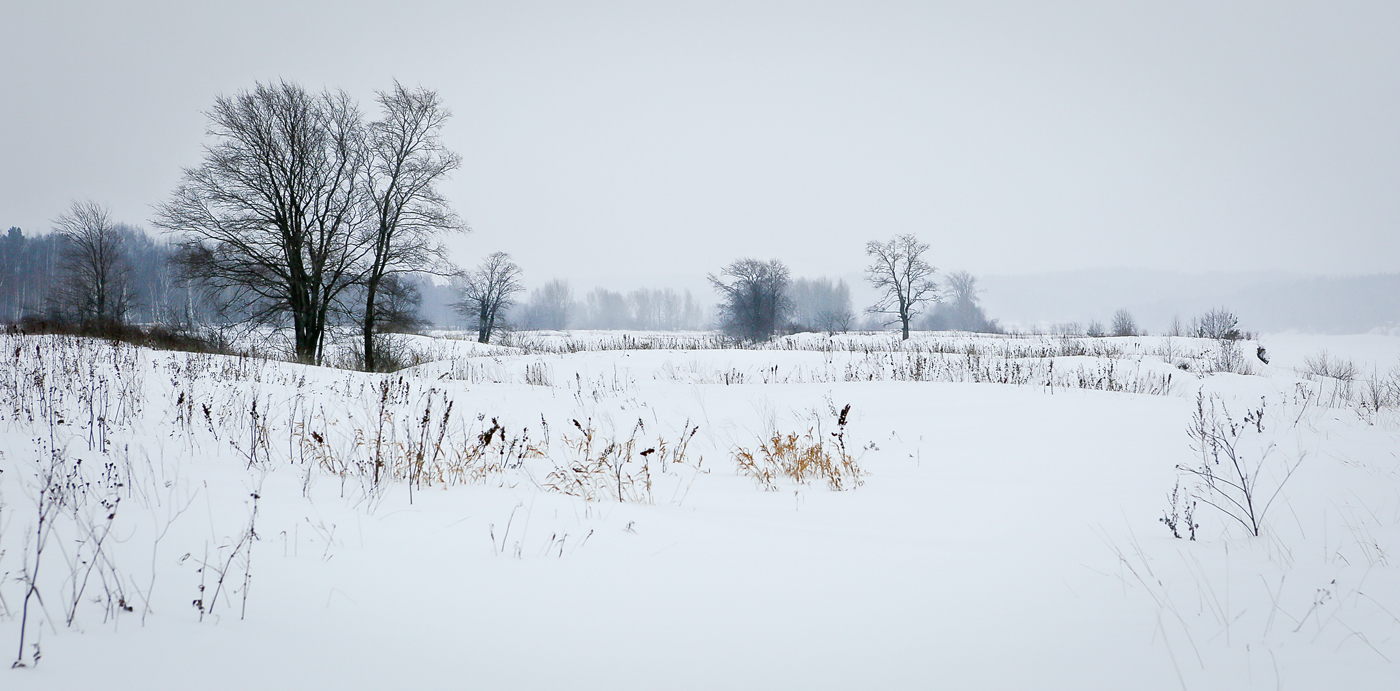 Закамск, image of landscape/habitat.