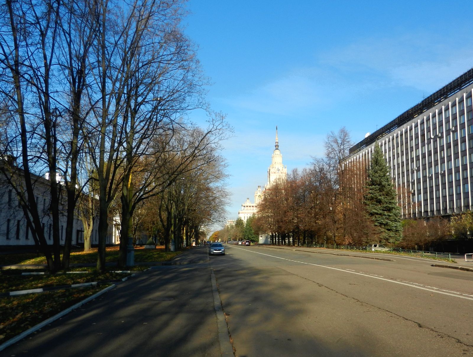 Территория МГУ, image of landscape/habitat.