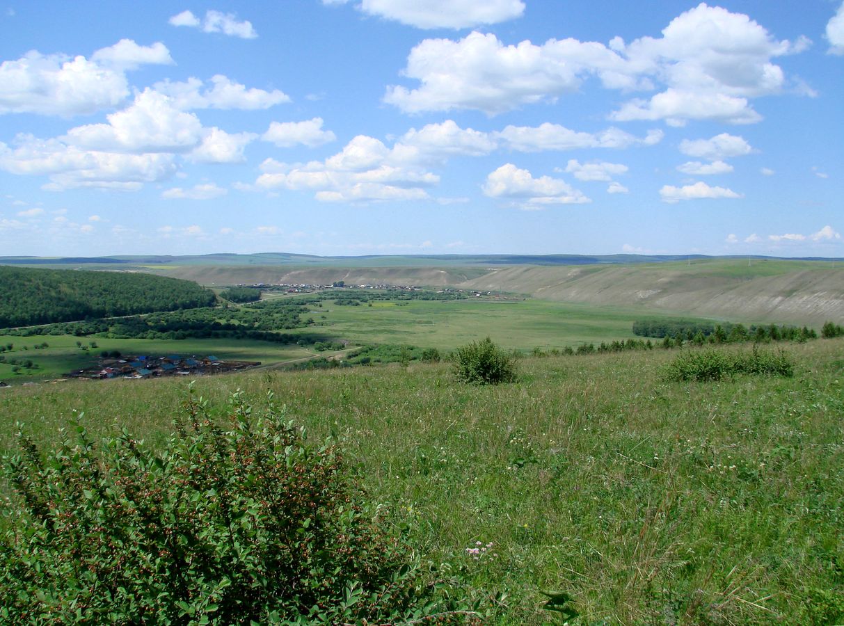 Село Бохан, image of landscape/habitat.