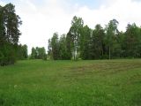 Павловск, image of landscape/habitat.