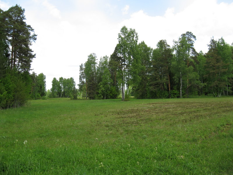 Павловск, image of landscape/habitat.