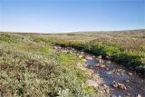 Мыс Коровий, image of landscape/habitat.