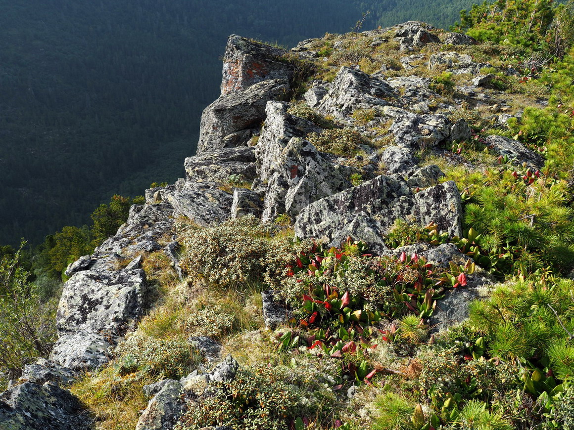 Верховья Амыла, image of landscape/habitat.