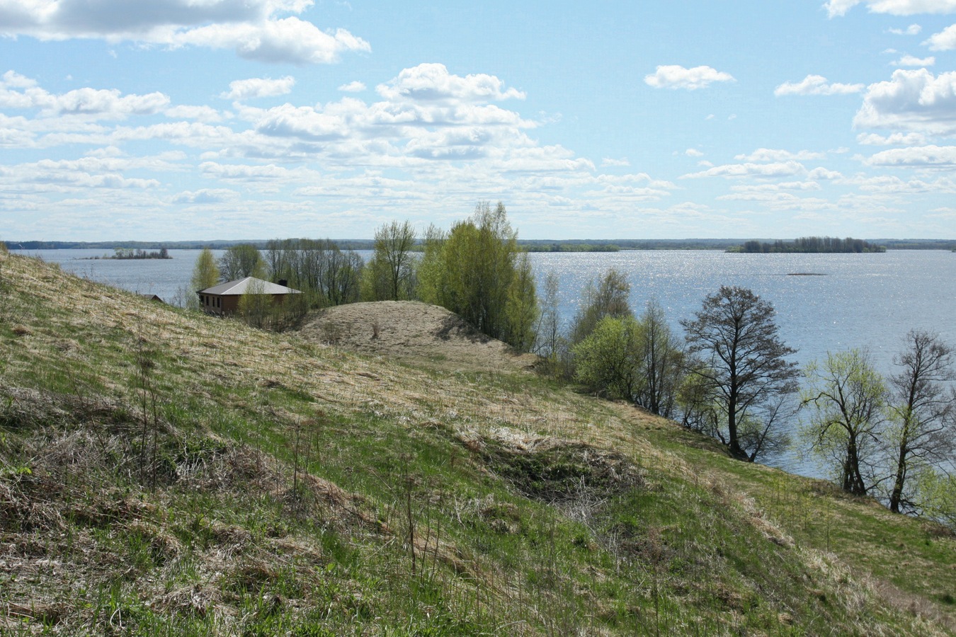 Шеляково и окрестности, image of landscape/habitat.