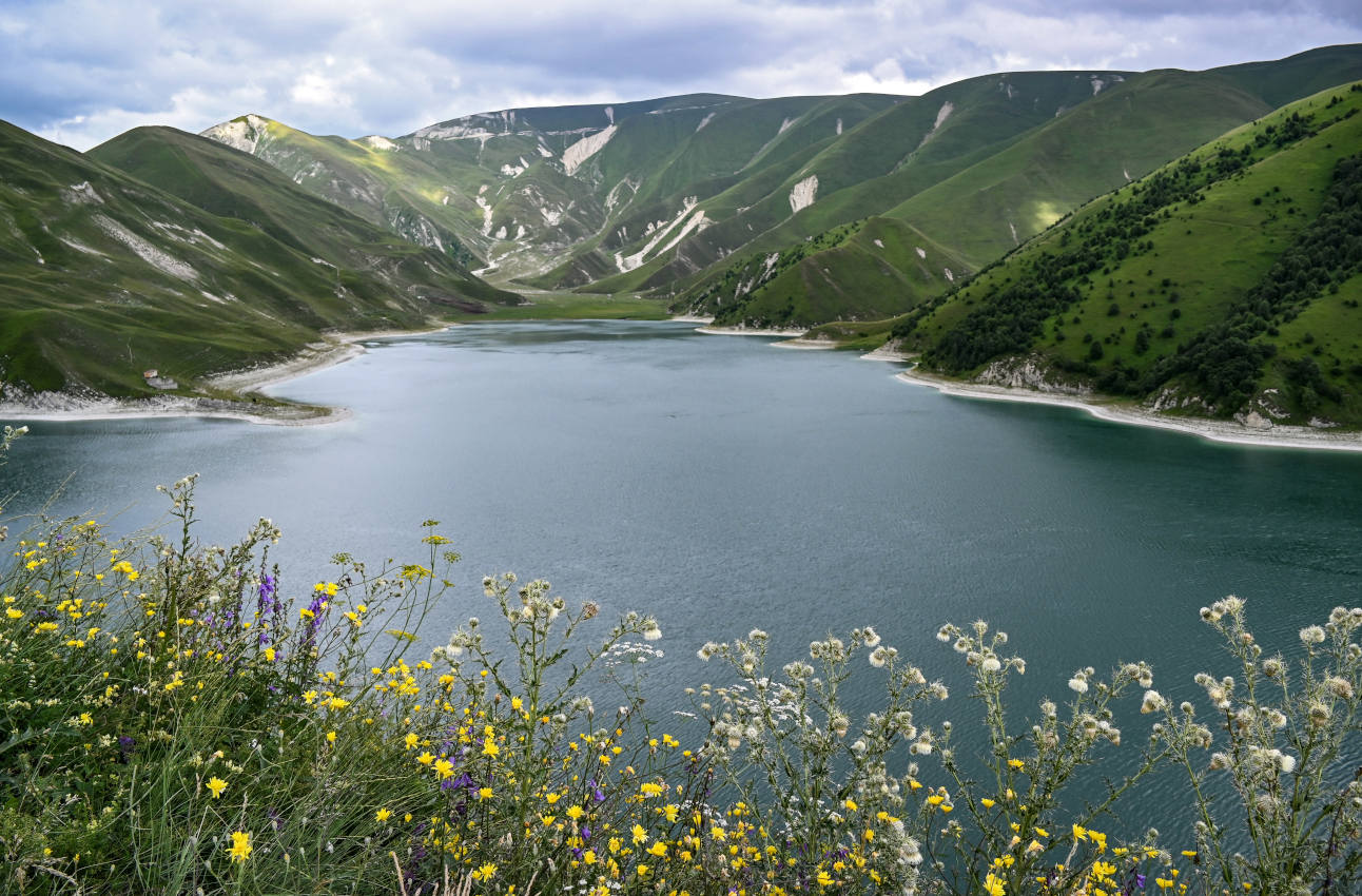 Озеро Кезенойам, image of landscape/habitat.