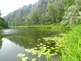 Бердские скалы, image of landscape/habitat.