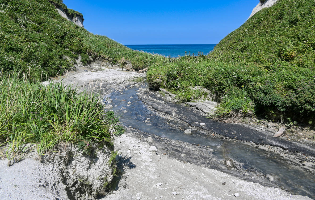 Белые скалы, image of landscape/habitat.