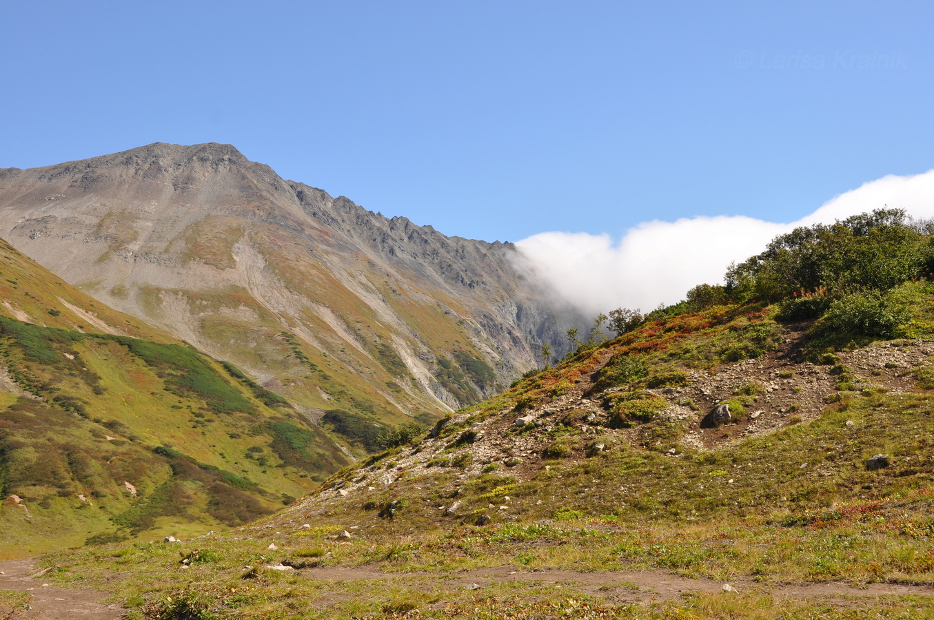 Гора Летняя Поперечная, image of landscape/habitat.