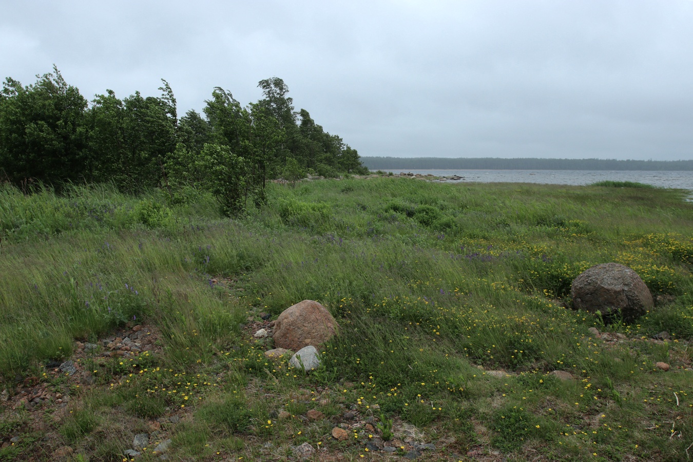 Каравалдай, image of landscape/habitat.