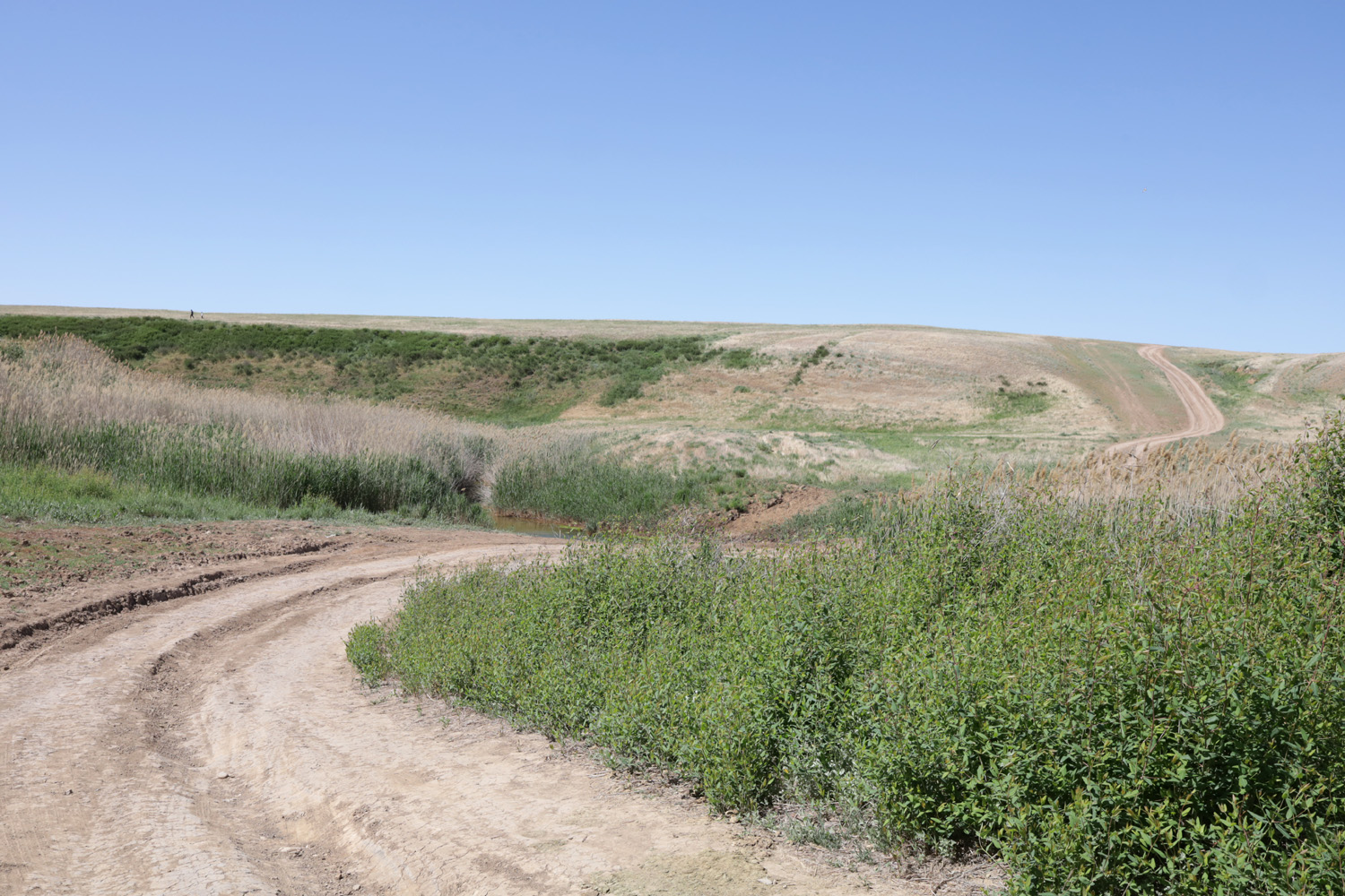 Побережье озера Эльтон, image of landscape/habitat.
