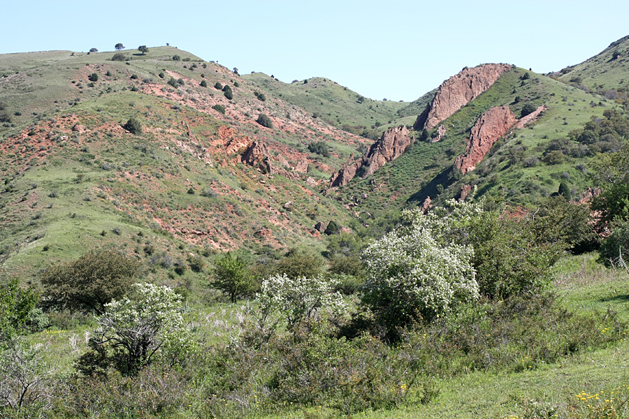 Ущелье Кызылбулак, изображение ландшафта.