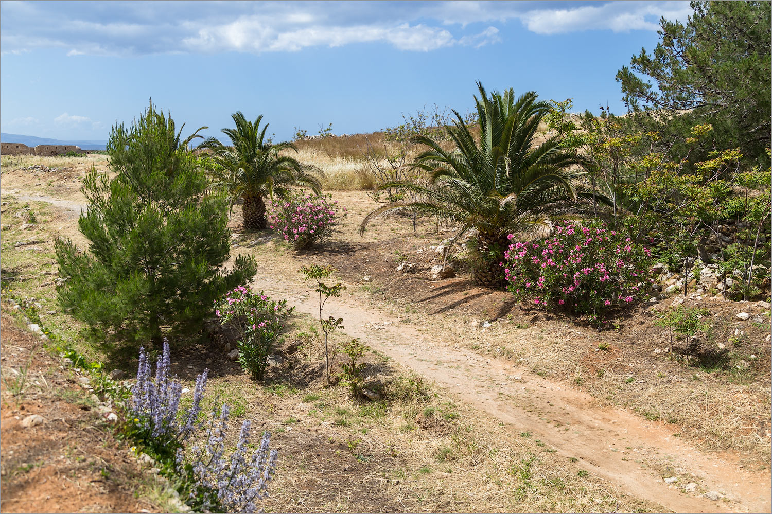 Ретимно, image of landscape/habitat.