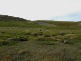 Image of landscape