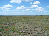 Село Бохан, изображение ландшафта.