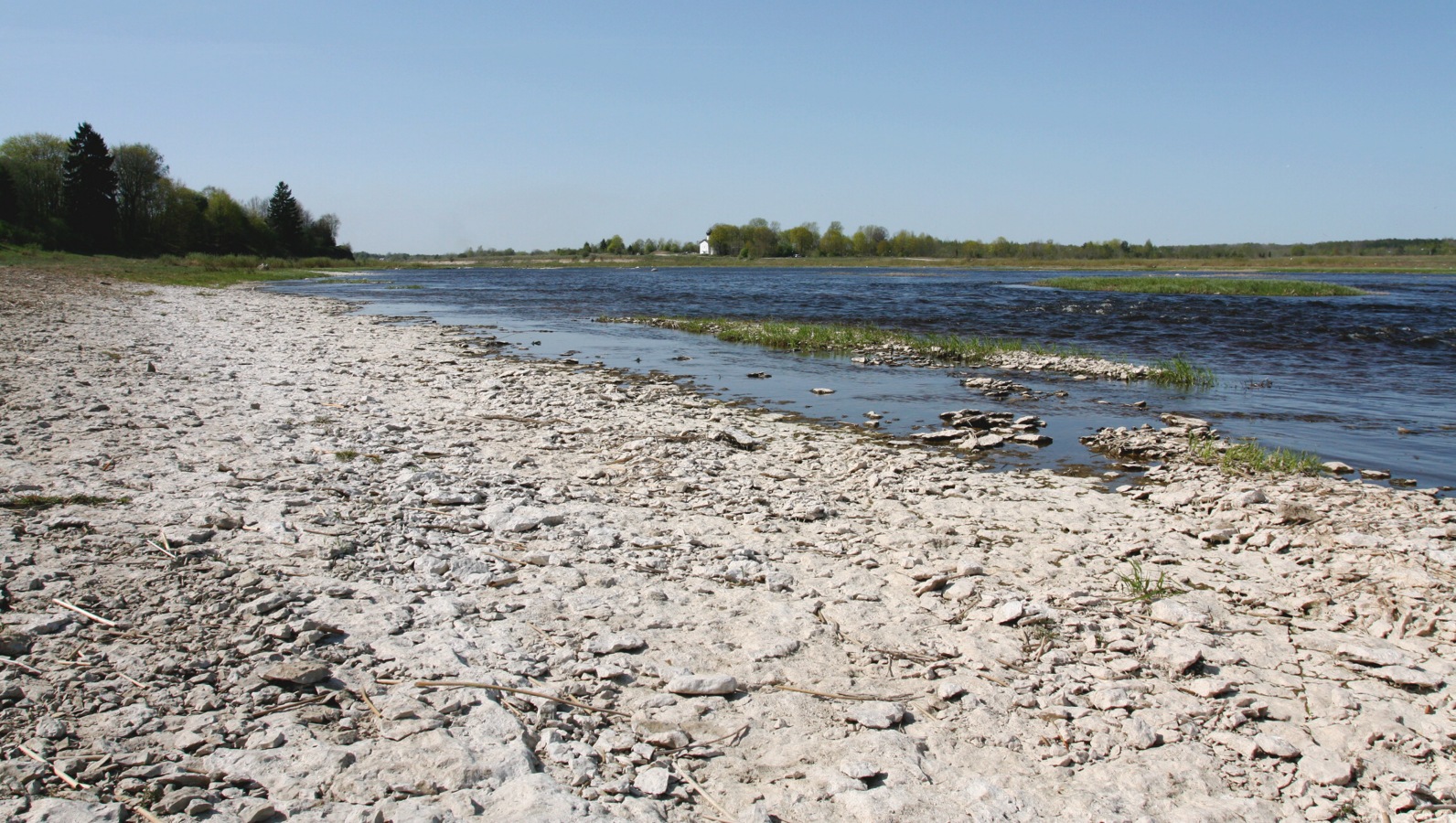 Выбуты, image of landscape/habitat.