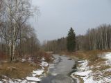 Павловск, image of landscape/habitat.