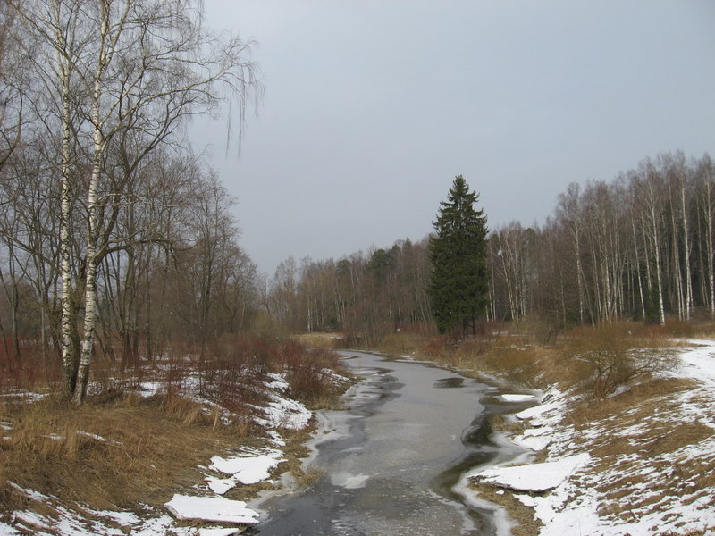 Павловск, image of landscape/habitat.