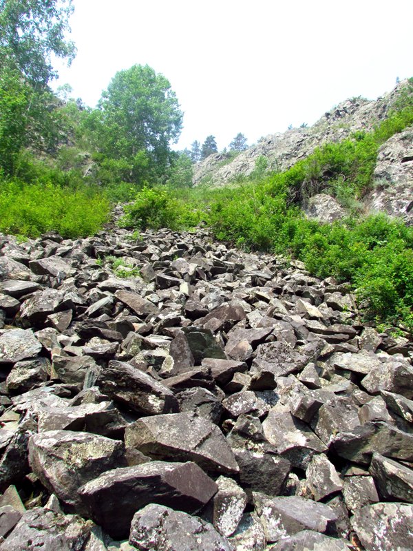 Бердские скалы, image of landscape/habitat.