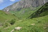 Image of landscape