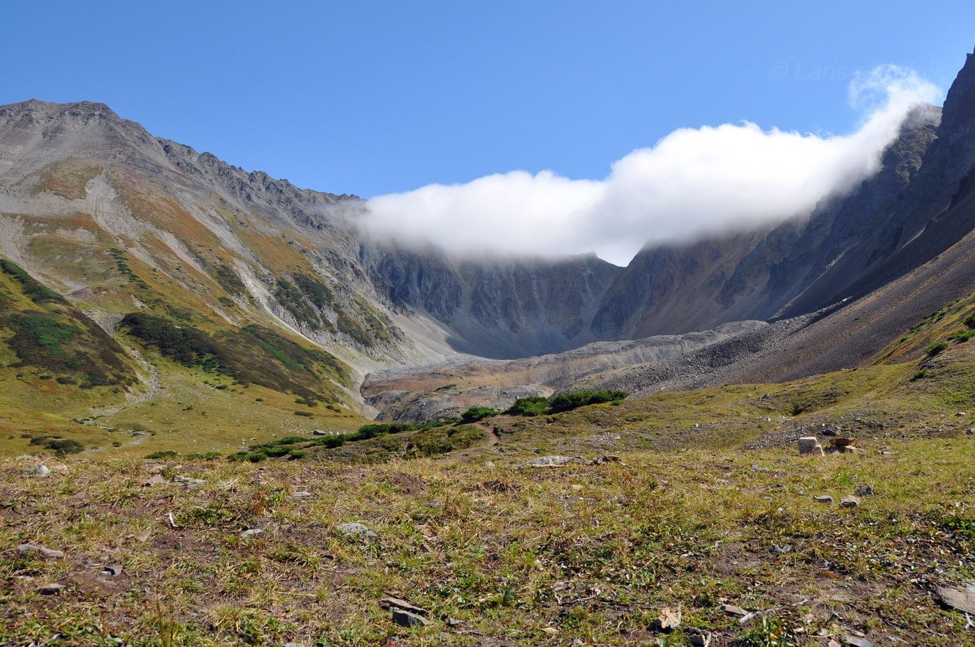 Гора Летняя Поперечная, image of landscape/habitat.