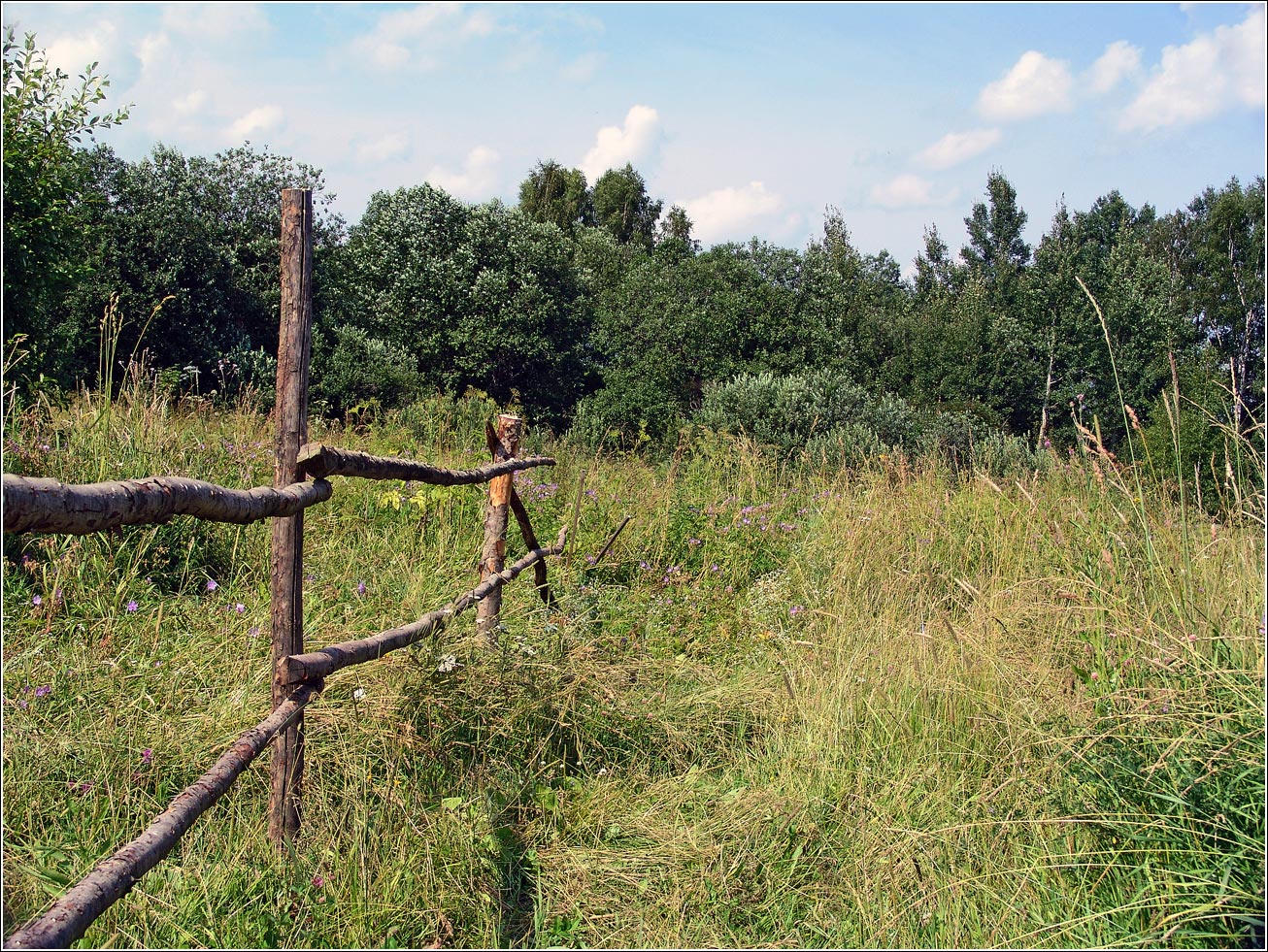 Вазуза, image of landscape/habitat.