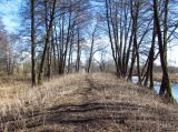 Image of landscape